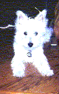 Click to see more of Maxine