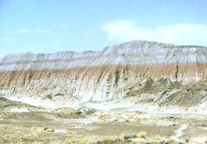 PDesert.jpg (9050 bytes)